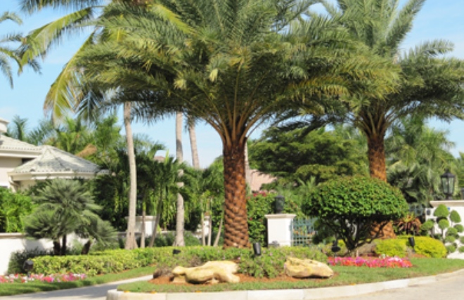 BallenIsles is a private gated golf club community with three championship golf courses, state of the art fitness center, a tennis club and an socially active club membership.