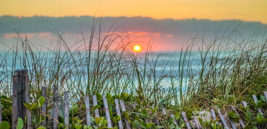 Jupiter Oceanfront Condos For Sale