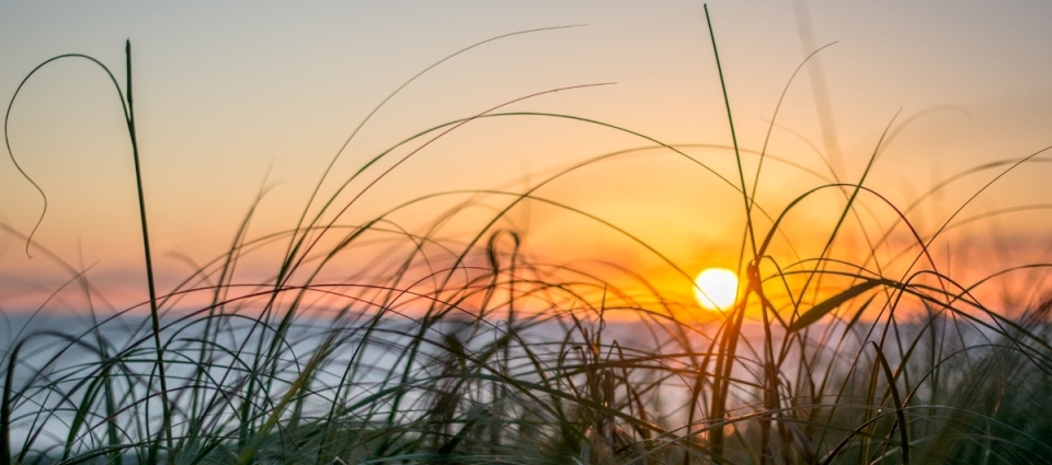 Tequesta, Florida Real Estate