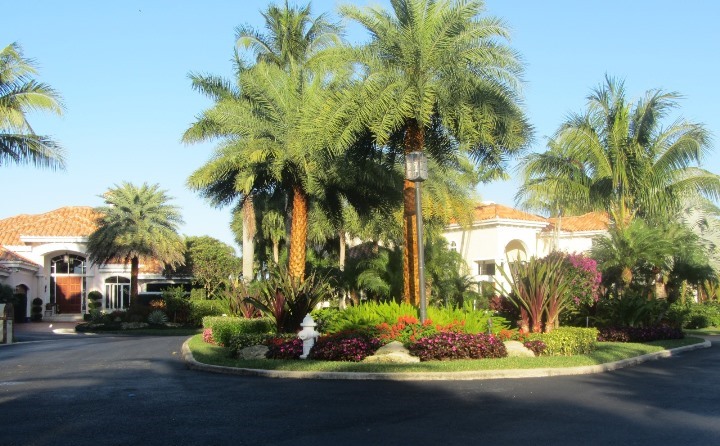 Barrow Island is a beautiful real estate community within Jonathan's Landing offering luxury homes for sale