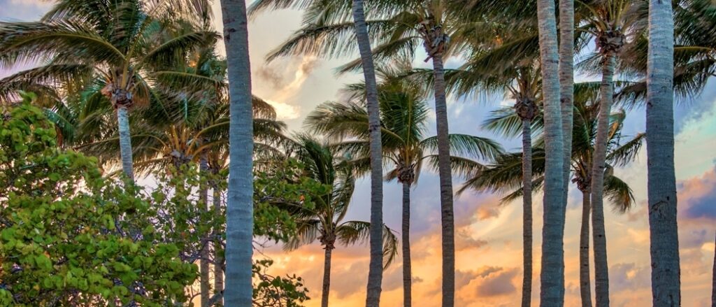 Jupiter - Tequesta Real Estate