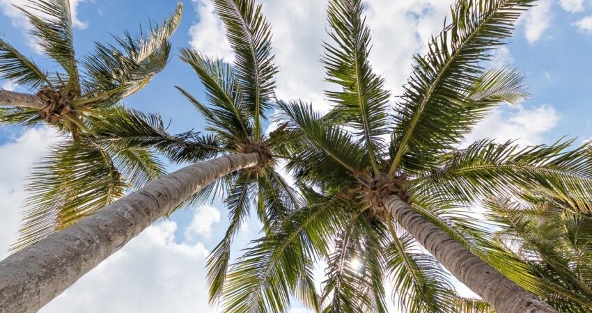 Easter in Jupiter, FL