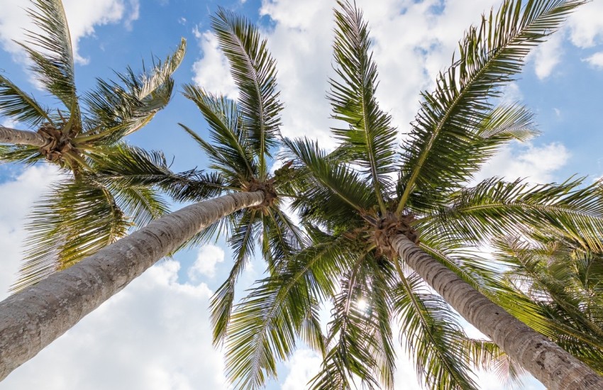 Easter in Jupiter, FL