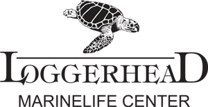 Loggerhead Marinelife Center logo
